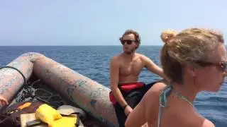 Helping out the WCS in Pemba Island