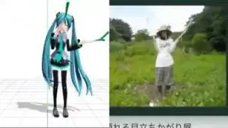 미쿠의 파돌리기송~~~