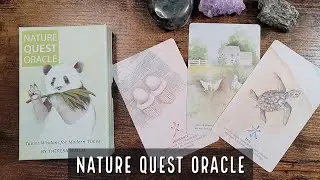 Nature Quest Oracle | Распаковка и просмотр