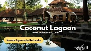 Coconut Lagoon