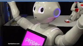 Social Robots - Pepper and Nao