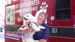 Vet Care Express Animal Ambulance Helps Chloe