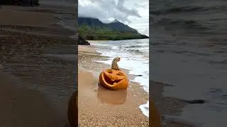 Lost Pumpkins of November #peacockoriginals #peacockoriginal #theSurfarians