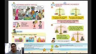 MASS OF OBJECTS YR 1