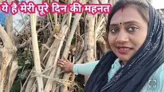 ये है मेरी पूरे दिन की महनत 🙏👍 #kiran #ratanpur #wali 🙏🙏