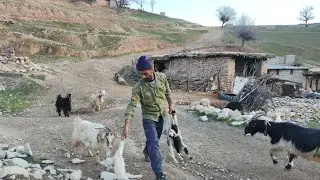 The hardworking nomads of the village of #Pahlak#