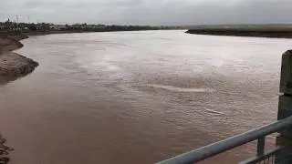 Cloudy day and Tidal Bore on the Petitcodiac River, Moncton