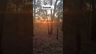 Sunset In Australia | Australian Sunset #sunset #Australia #shorts #sun