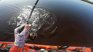 Crystal River Kayak Fishing  The Lower Suwannee National Wildlife Refuge