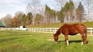 2014 Ranch Promo Video fall updates