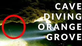 Cave Diving Orange Grove