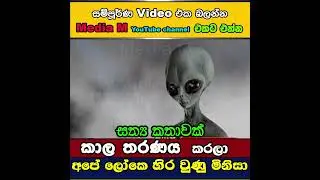 කාල තරණය කරලා අපේ ලෝකෙ හිර වුණු මිනිසා | Time Travel Sinhala