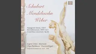 Grand Duo concertant, Op. 48, I. Allegro con fuoco