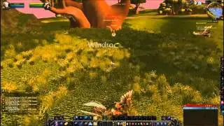 Windroc Mastery Quest - World of Warcraft