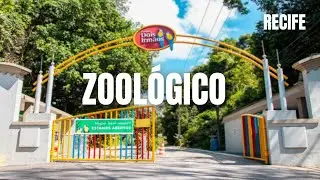 Zoológico de RECIFE - Parque Estadual Dois Irmãos.