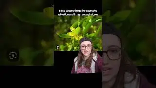 Проклятая воронья лапка