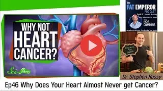 Ep46 Dr. Stephen Hussey on Why is Heart Cancer so Rare? Find out here!