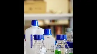 Global Plastic Packaging Market 2014-2018