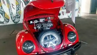 Hot Volks role top