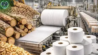 Factory Process Revealed: How Toilet Paper Is Made from Trees