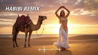 Global Habibi Beats &ndash; Best Arabic Dancefloor Music 2025