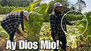 Mi Esposa Se Metio A Trabajar Y No Aguanto, Ay Dios Mio!😭