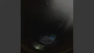 Forest Planet