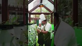 The Green House, Our Hydroponic World where fresh greens floruish. #homegrown #hydroponicgreenhouse