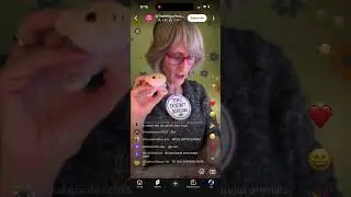 WHO THE HELL IS THIS GRANDMA