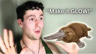 That Time When God Created The Platypus...