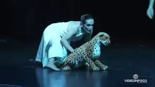 ARTE DANCE 2017 - Floresta Amazônica