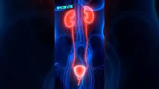 Sharp Pain In Your Side: Could It Be Kidney Stones? All You Need To Know!