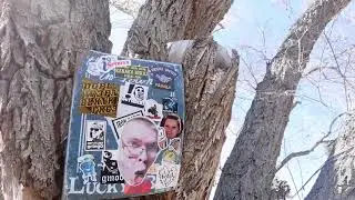 Touring the World Famous Mountain Springs Saloon