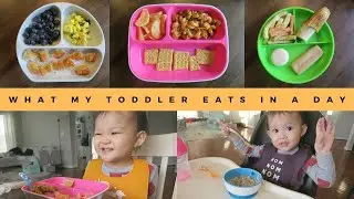 What My 1 Year Old Eats in a Day | TODDLER MEAL IDEAS