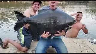 Maeda 🐟🎣Pescaria no tancao e  trintei no final do dia😆