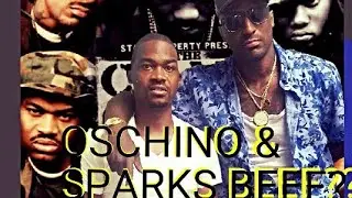 ОШИНО ПОДРОБНЕЕ РАССКАЖЕТ О ГОВЯДИНЕ SPARKS
