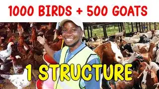 Smart Goat & Chicken House Design | Integrated Zero Grazing + Deep Litter Farming Setup