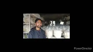 Oyster cultivation by Post graduate Young agripreneure