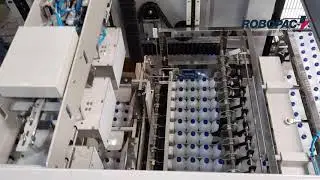 Encaixotadora KING PACKER, Armadora de Caixas FORMA HM e Seladora CLOSE HM para álcool | ATEX