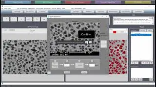 DEMO: Auto Scale Calibration