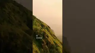 Padargad fort Bhimashankar #maharashtra  #aerialfootage #westernghats  #bhimashankar_jyotirling