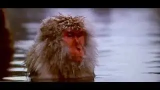 Baraka. Ron Fricke. 1992.
