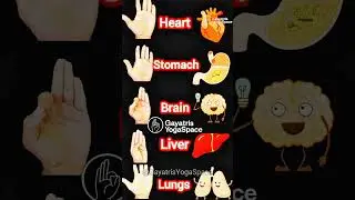 Best Mudras 👌|| मुद्रा के लाभ || #mudra #yogmudra #yoga