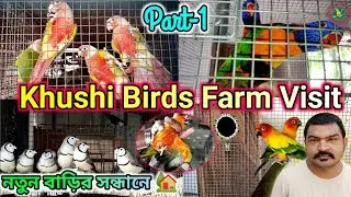 Sun Conure/African Grey Parrot/Lori Parakeet/Pineapple/Yellow Sided/Blue Conure Breeding Farm Visit