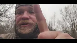 Its Definite signs of deer