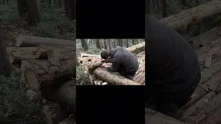 NO CEMENT! NO NAILS! Building an Indestructible Log Cabin 🌲⚒️ #shorts #bushcraft