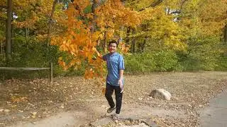 by khumaw reh yellow leaves 2021 karenni people talkshow video