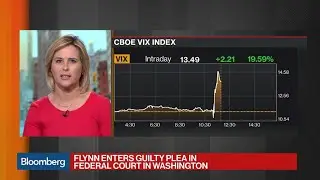 Flynn Pleads Guilty: The Political and Legal Risks