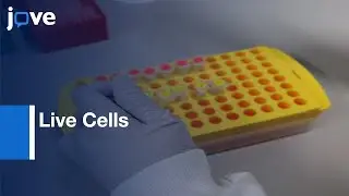 Protein-Protein Interactions: Bioluminescence Resonance Energy Transfer l Protocol Preview