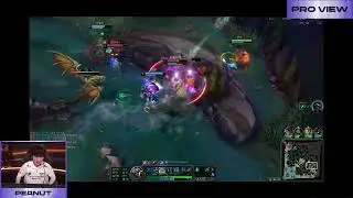HLE Peanut Vi Pro View | DNF vs HLE | 2025 LCK Round 1-2 W2D1